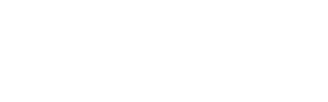 logo-MAXSPEED-White.png